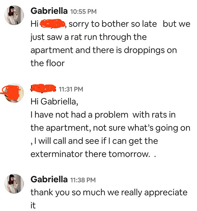 This Airbnb guest asks the host what to do about the rodents in the vacation rental.