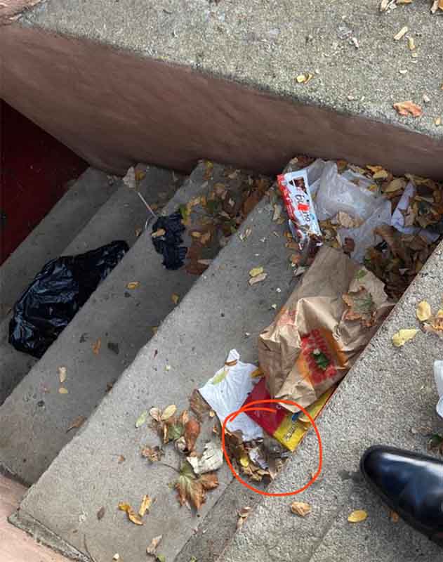 Lots of trash litters the stairwell leading to this Vrbo rental -- and a rat is in that pile. 