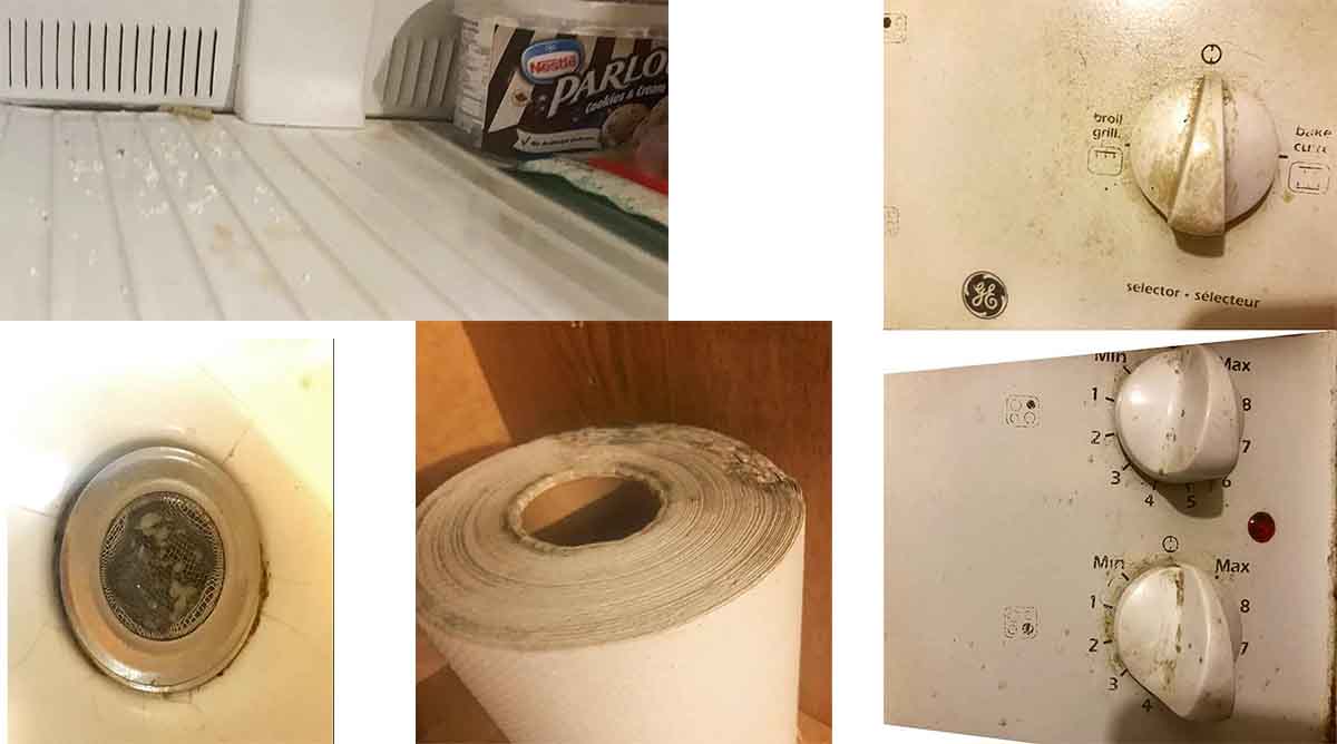 This collage of gross photos show just how terrible this Airbnb experience was for this renter. 