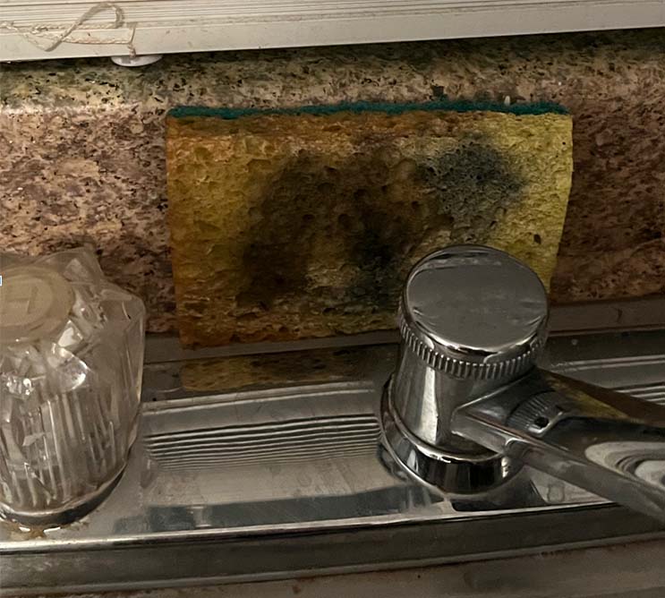 The Airbnb host provided this filthy sponge for her guests to use. But the worst was yet to come at this vacation rental -- mice!