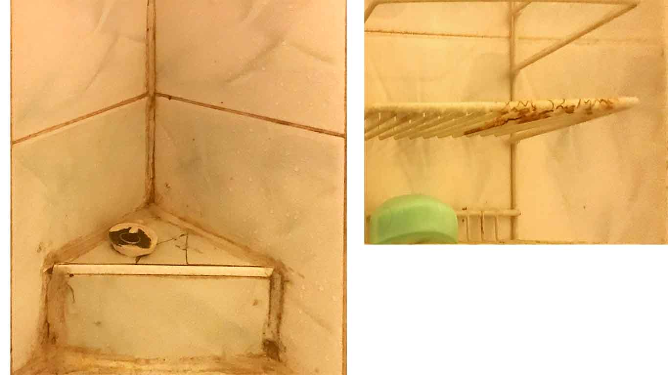 This shared space Airbnb comes with a filthy shower.