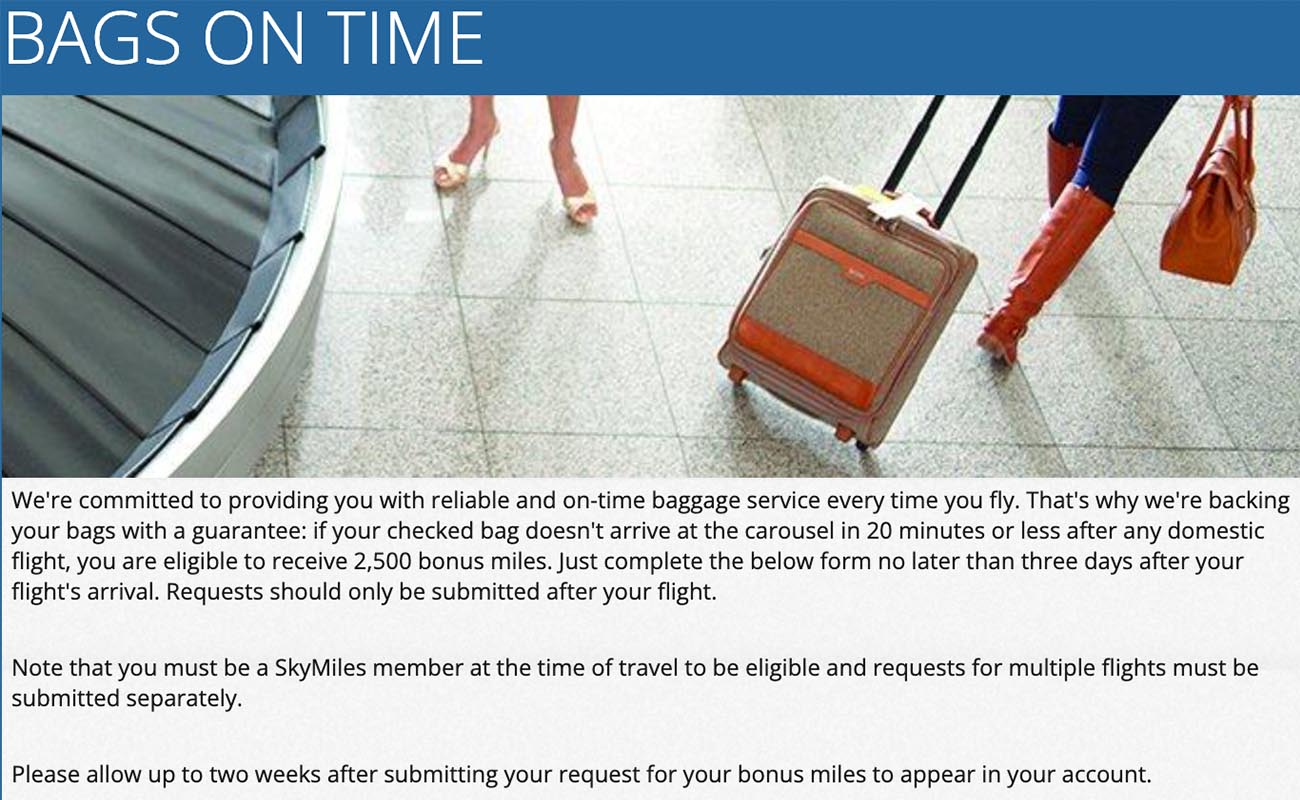 Delta Air Lines delayed and lost luggage policy.