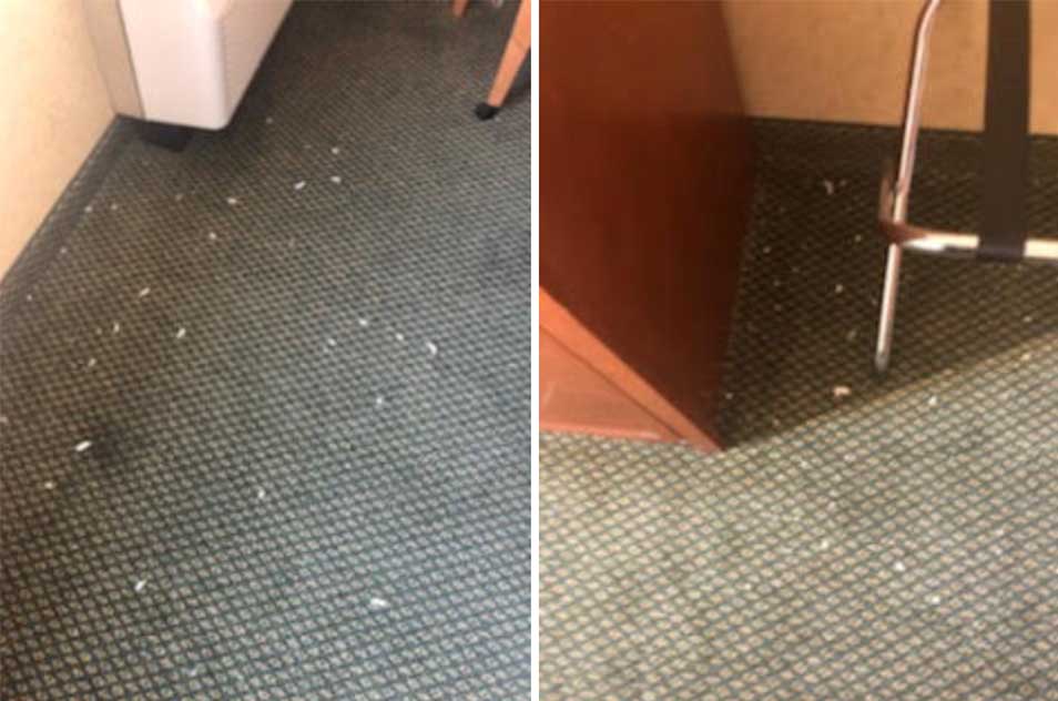 Next, the hotel sent photos of white flecks on a carpet to justify more charges.