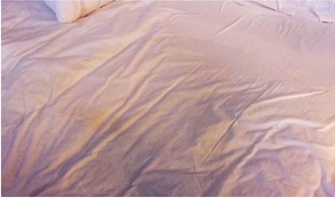 Embarrassing hotel experience, W Hotel provides a photo of a possible urine stain in the bed, bad hotel experience, expensive post-stay hotel charges