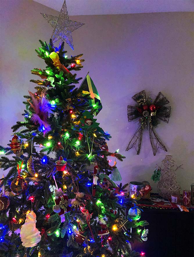 Home Depot replaced the problematic pre-lit tree with this beautiful, sparkling tree. 