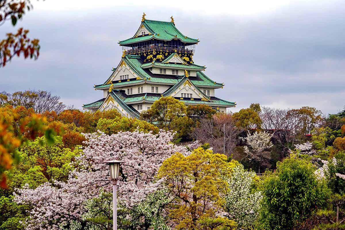 Because of the global pandemic ANA was forced to cancel the family's trip to see the cherry blossoms in Japan.