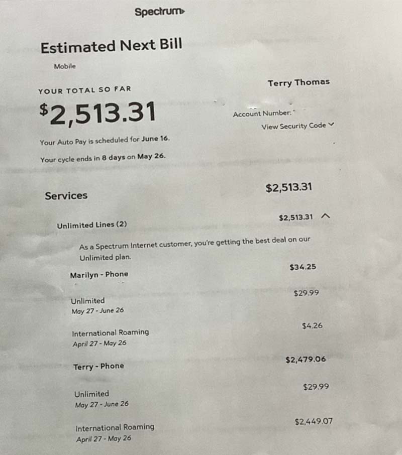 A giant cell phone bill; roaming charges accrued as the couple slept.  