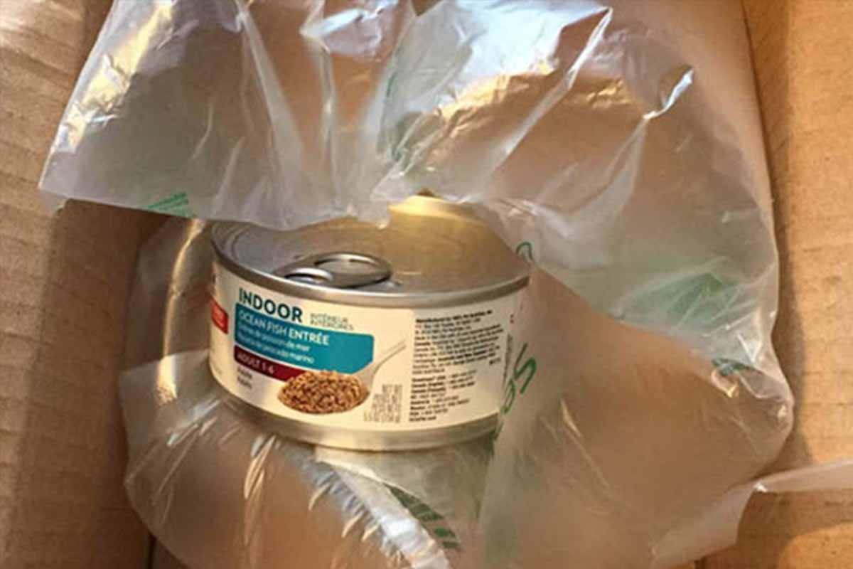 One single can of cat food in a box delivered to the home of this Walmart customer.