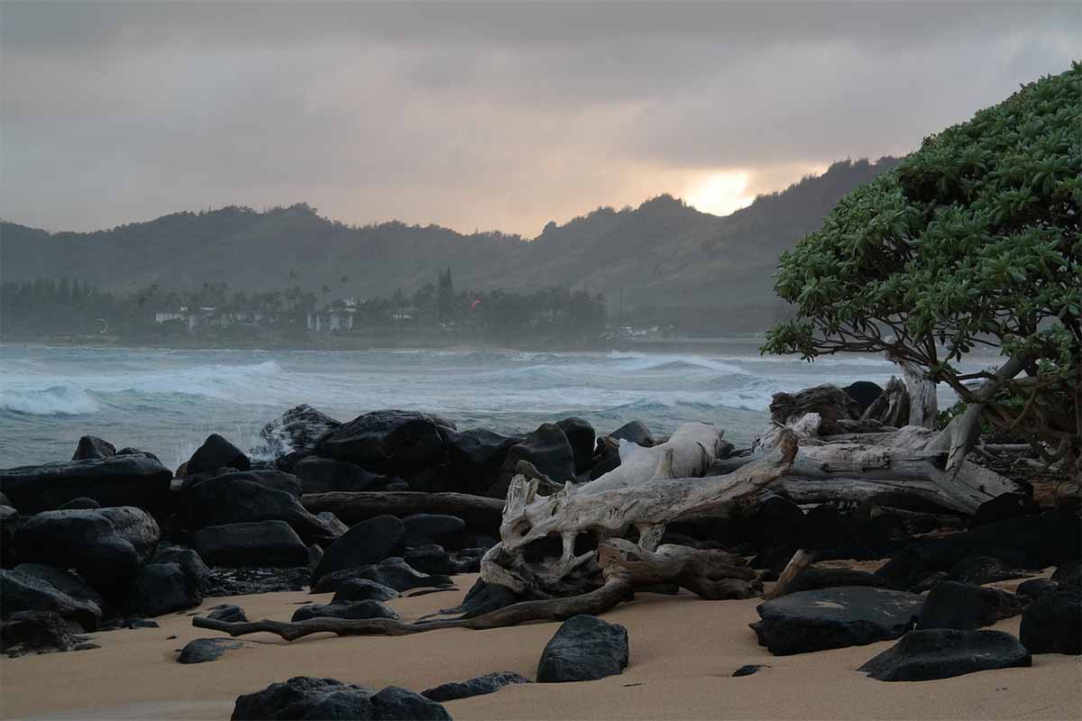 Hawaii flight delay flight delay compensation, Hawaii flight delay, not $10000 of a delay