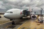 American Airlines aircraft, AA airplane parked at gate, American Airlines canceled flight, delayed flight at gate