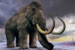 UPS insured a mammoth tusk and then rejected the $1,850 insurance claim.