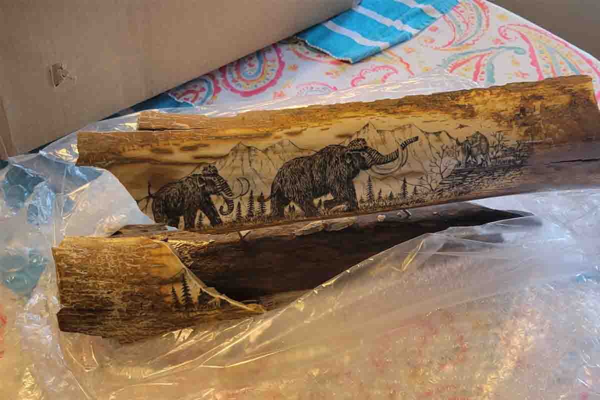 damaged ivory tusk A 4,000 year old fossilized mammoth tusk, artwork carved onto an ivory tusk
