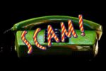 The Publishers Clearing House scam is thriving, here is a real life example of how this call unfolds, a green phone with the word scam stamped across it is the featured image of this article