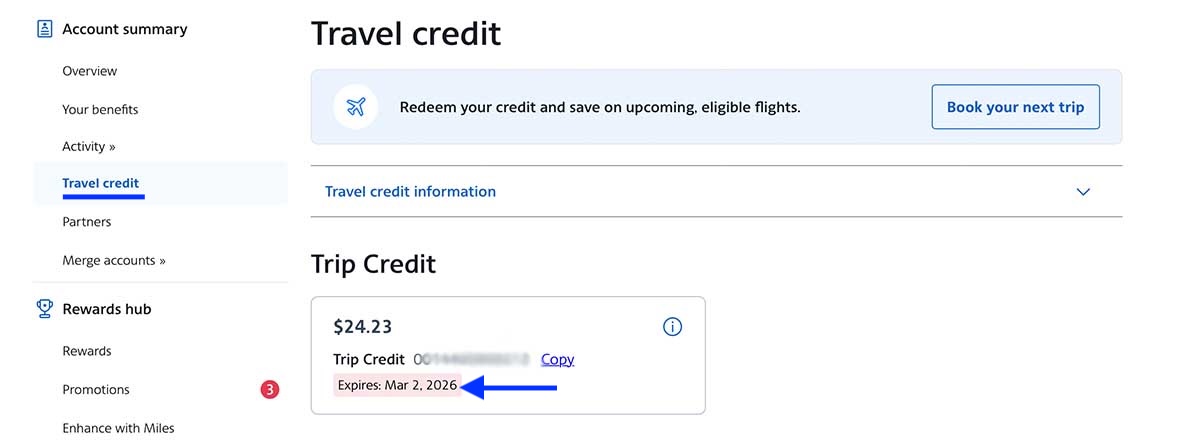 AAdvantage members can find the expiration date, value and type of any travel credit available in their account, screenshot courtesy of consumer advocate Michelle Couch-Friedman