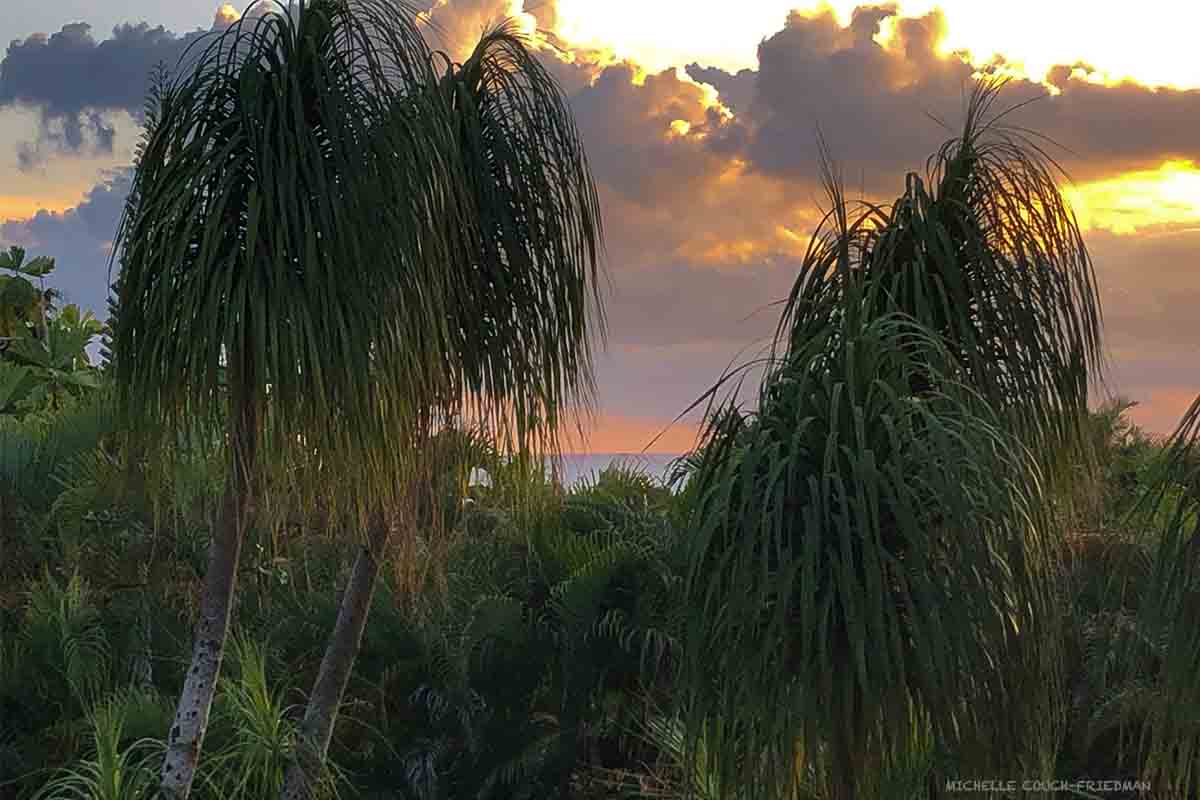 Cruise passenger visits Dominican Republic and buys a beauty device she doesn't want. 