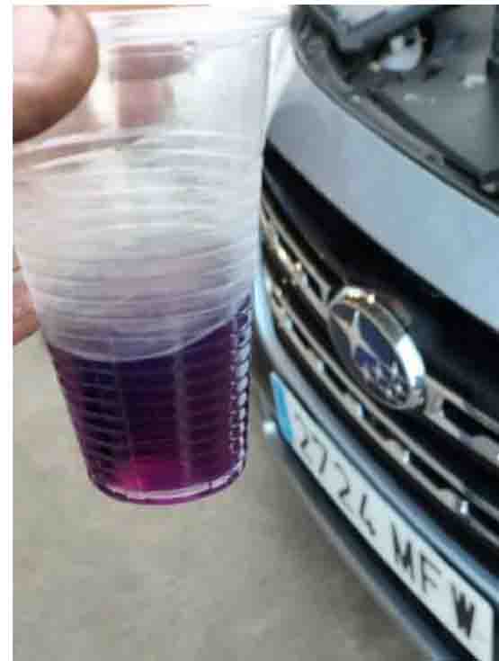 Purple proof? Did the mechanic really discover the wrong gas in the tank of the rental car?