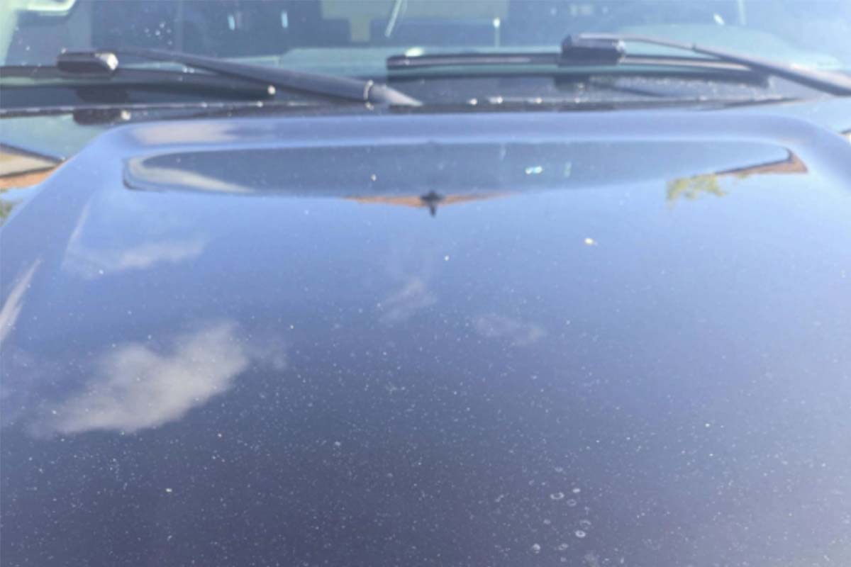 Evidence: The cruise line passenger says his car was damaged at Port Canaveral and that the cruise line should pay.
